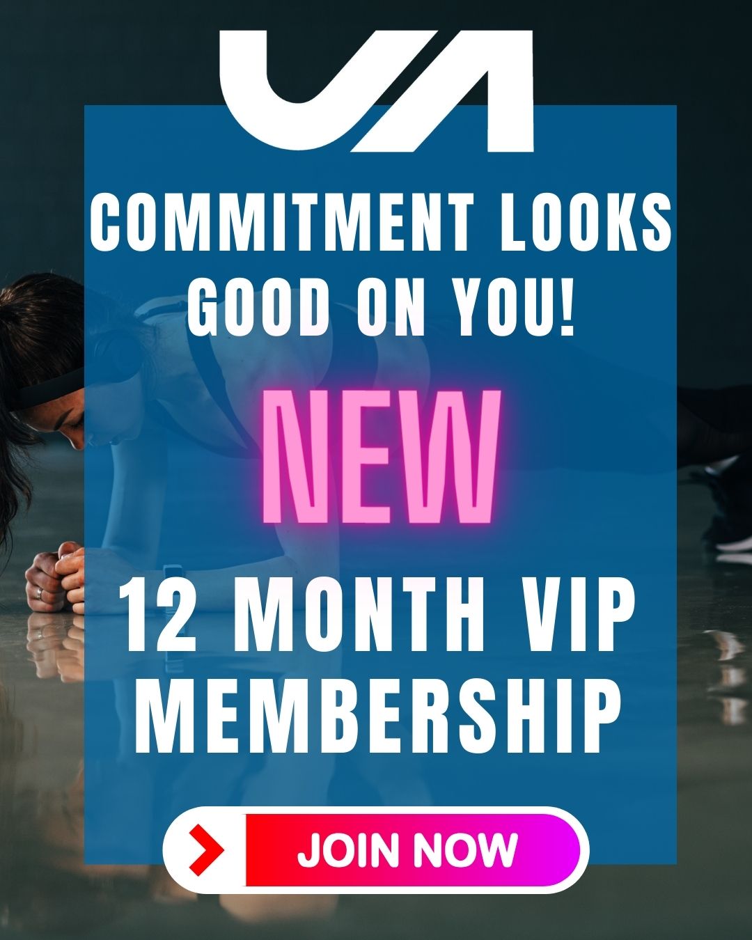 12 Month VIP Deal